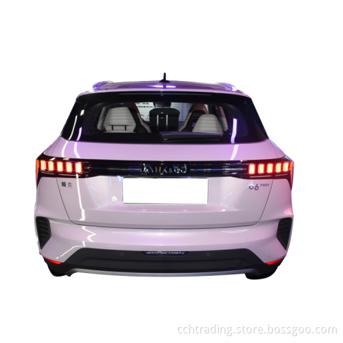 LYNK&C0 Chinese Cheap Adults Electric Car and Personal Transportation Vehicles